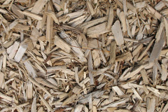 biomass boilers Rixon
