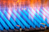 Rixon gas fired boilers